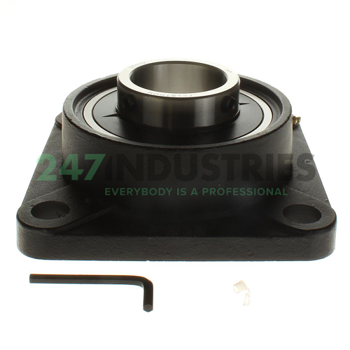 UCF319 Felstrom Image 2