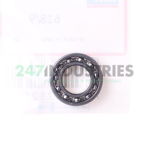 618/9 SKF