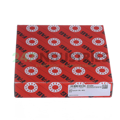 NU1019-XL-M1-C3 FAG Image 6
