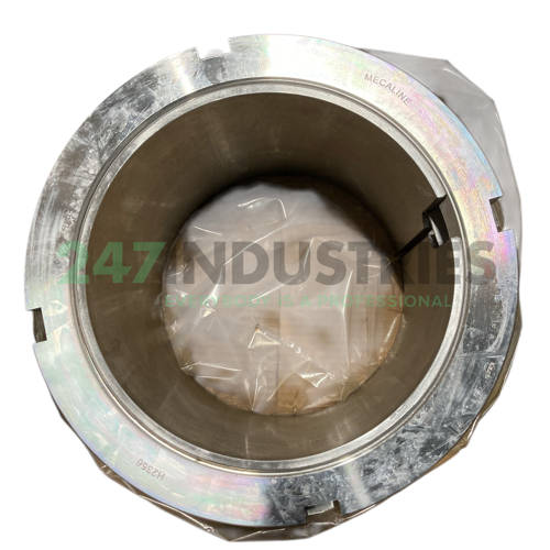 H2356 Neutral Image 2