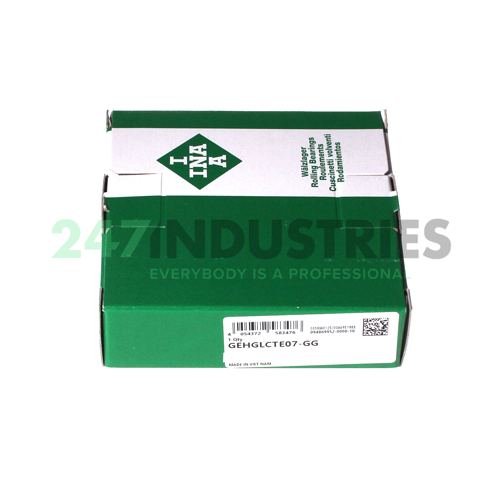 GEHGLCTE07-GG>A INA Image 4