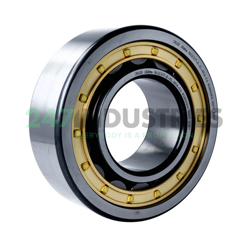 NUP317-E-XL-M1-C3 FAG