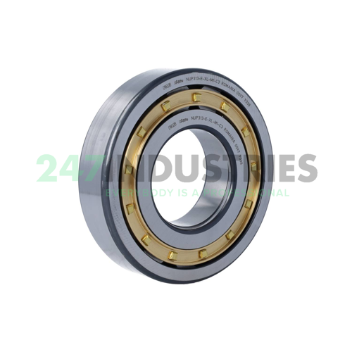 NUP313-E-XL-M1-C3 FAG Image 2