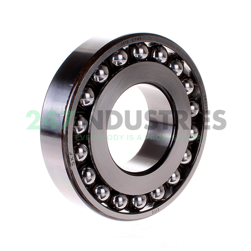 1313ETN9 SKF