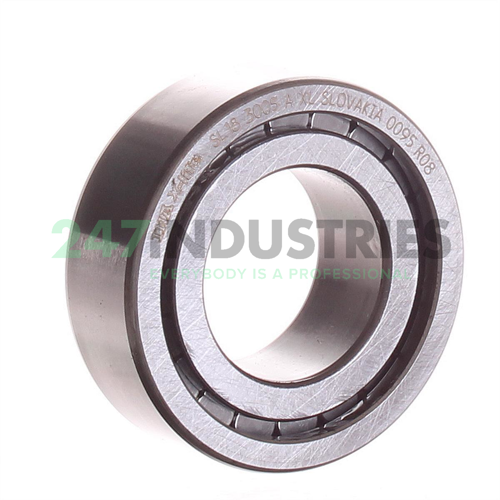 SL183005-A-XL INA