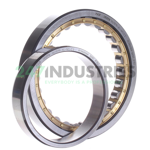 NU1019-XL-M1-C3 FAG Image 2