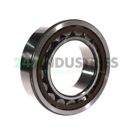 NU2219ECP/C3 SKF Image 3