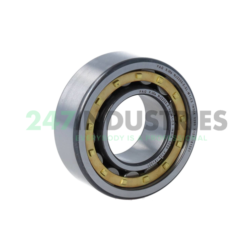 NJ2205-E-XL-M1-C3 FAG