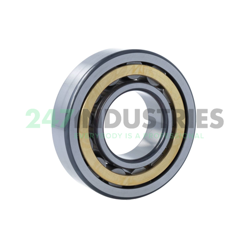 NU310-E-XL-M1-F1-C3 FAG Image 2