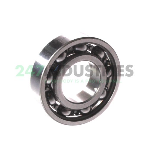 16002/C3 SKF Image 2