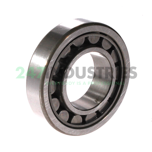 NU207EWKC3 NSK Image 2