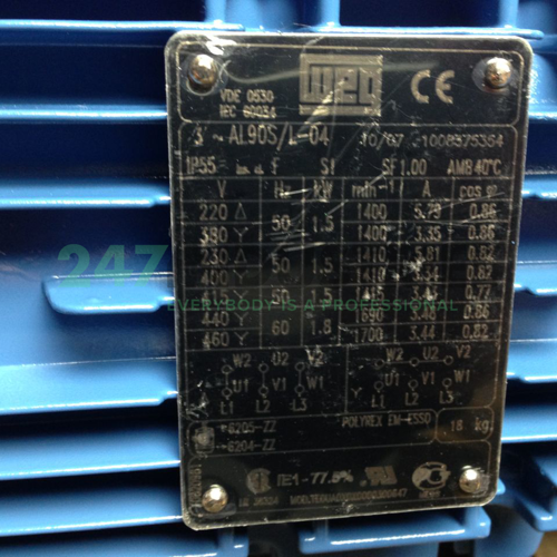 1.5K31AL190S/L4B5 WEG Image 3