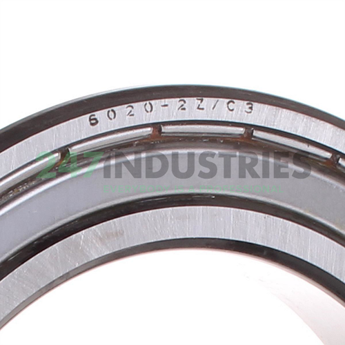 6020-2Z/C3 SKF Image 2