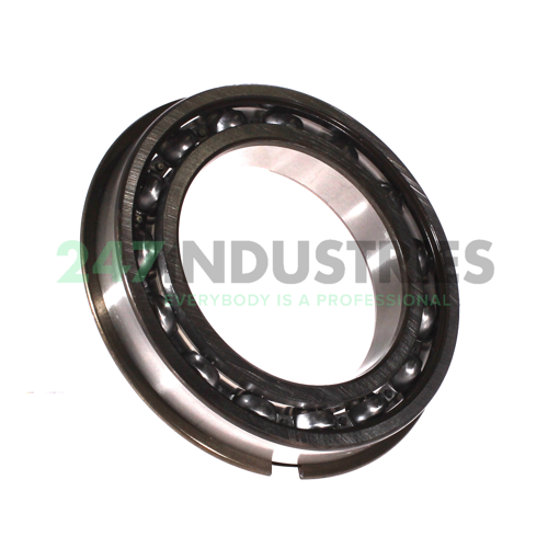 6017NR SKF Image 2