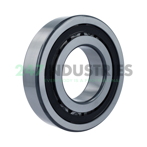 NJ319-E-XL-TVP2 FAG Image 2