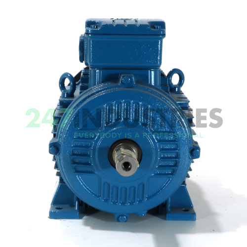 1.1K31AL290S6B14 WEG Image 4