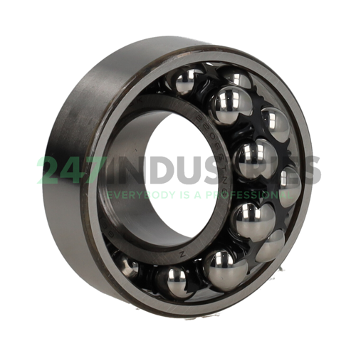 2206ETNG NSK Image 2