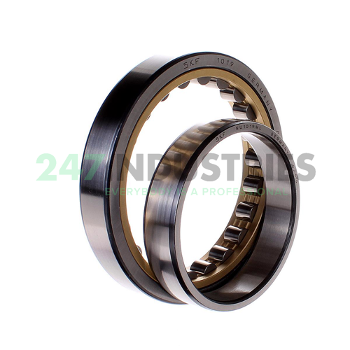 NU1019ML SKF Image 2