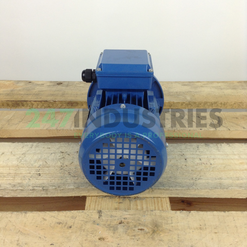 MS7112B35 Gibbons Image 5