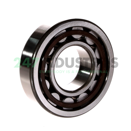 NU308E C3 DZ NTN Image 3