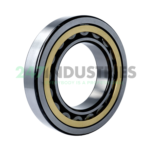 NU219EMC3 NSK Image 2