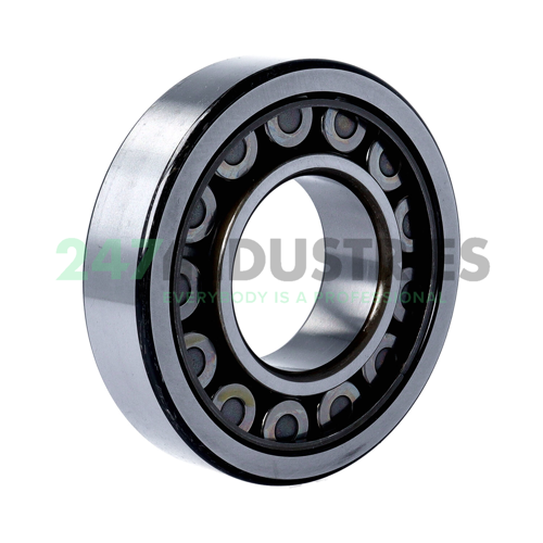 NU311EWU537 NSK Image 2