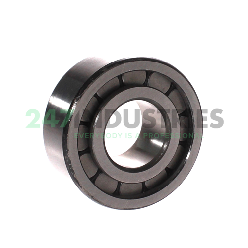 ZSL192307 INA Image 2