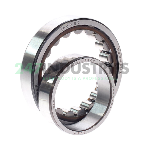 NU1009ECP SKF Image 2