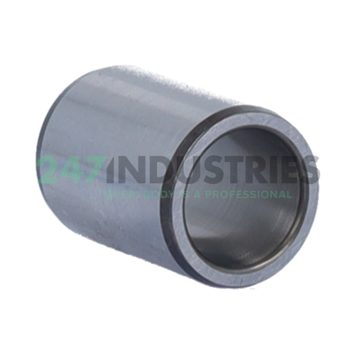 IR12X16X22 SKF