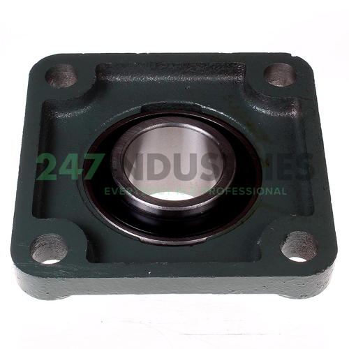 UCF209 Neutral Image 2