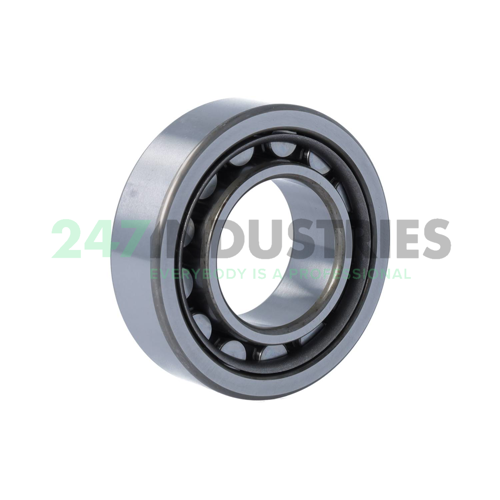 NU2208W C3 NSK Image 2