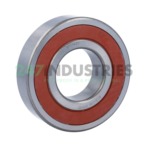 6309-2RS Bing Netherlands