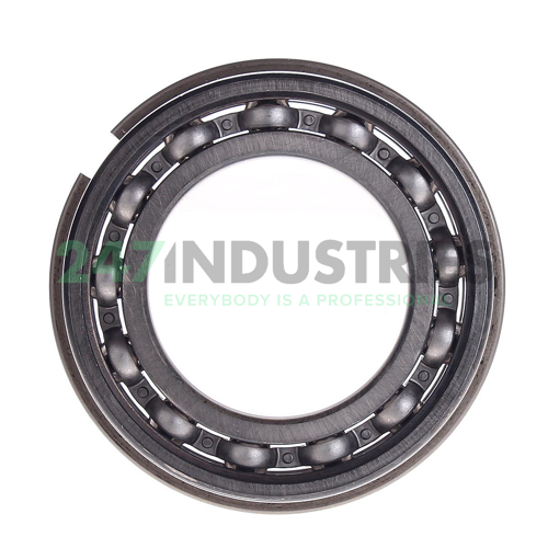 6009NR SKF Image 2
