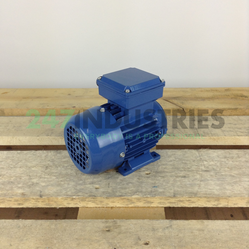 MS5624B34 Gibbons Image 3