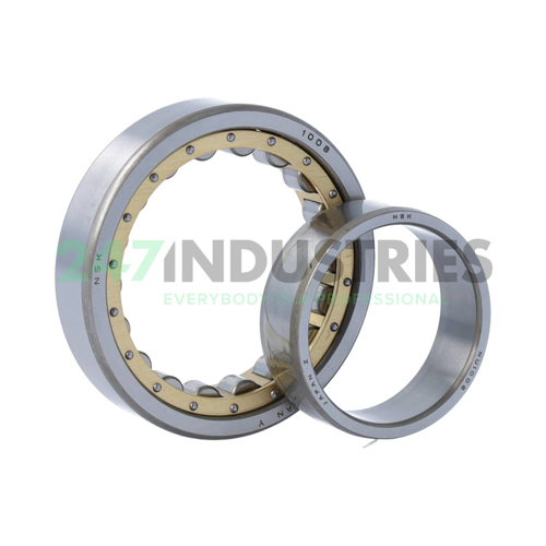 NU1008 NSK Image 3