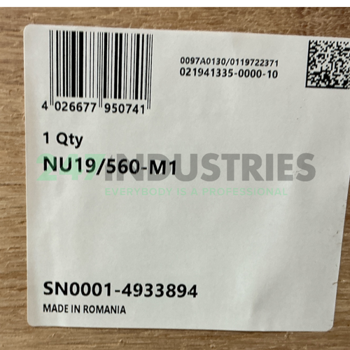 NU19/560-M1 FAG Image 3