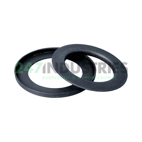 Z009 SKF Image 3