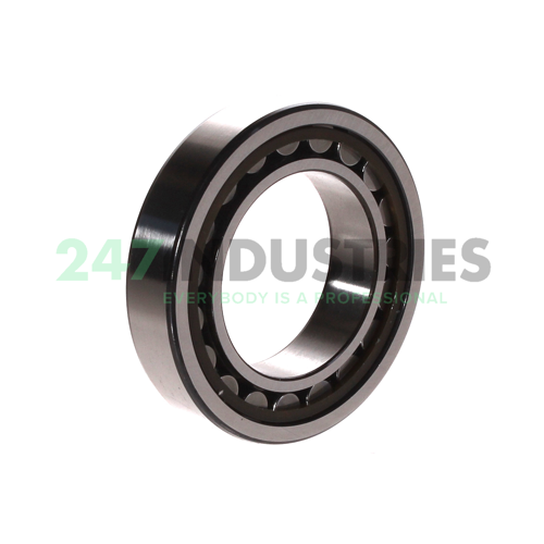 NJ1009ECP SKF Image 2