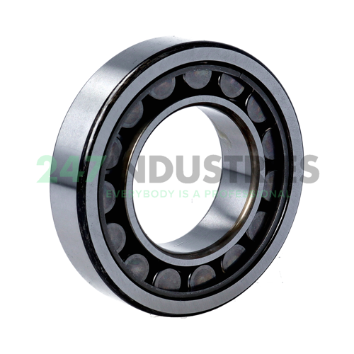 NU209EWC3 NSK Image 2