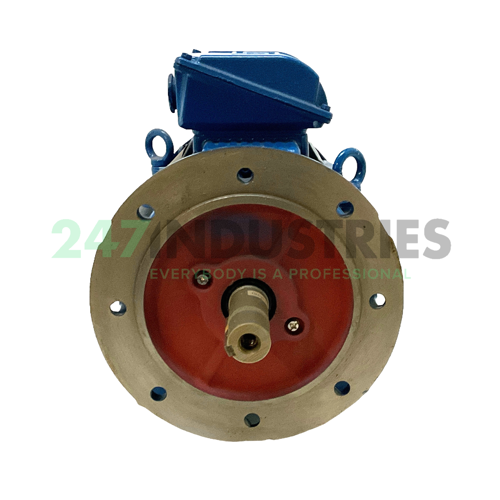 15K35CI3160L4B35 WEG Image 2