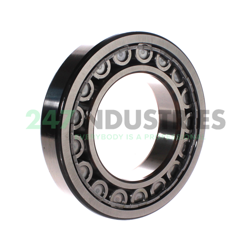 NJ219ECJ/C3 SKF Image 3