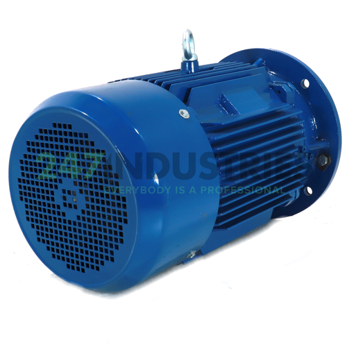 Y2E2-160L-2-B5 Hoyer Image 3