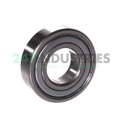 6004 2Z ZKL Image 2