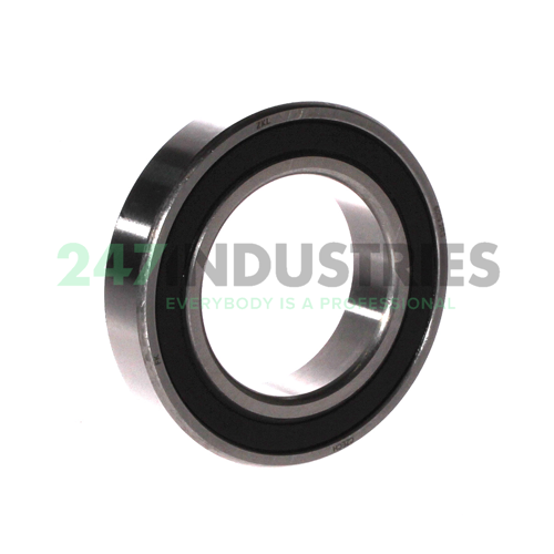 6009 2RS ZKL
