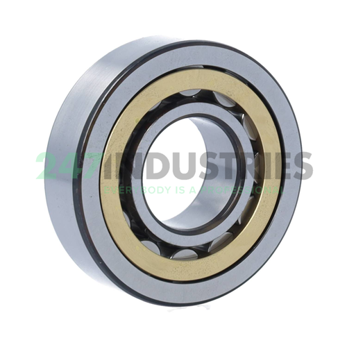 NU306ECM SKF Image 2
