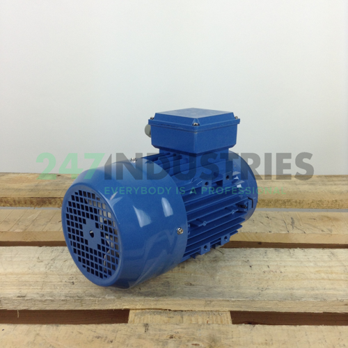 MS90L-4B14 Gibbons Image 3