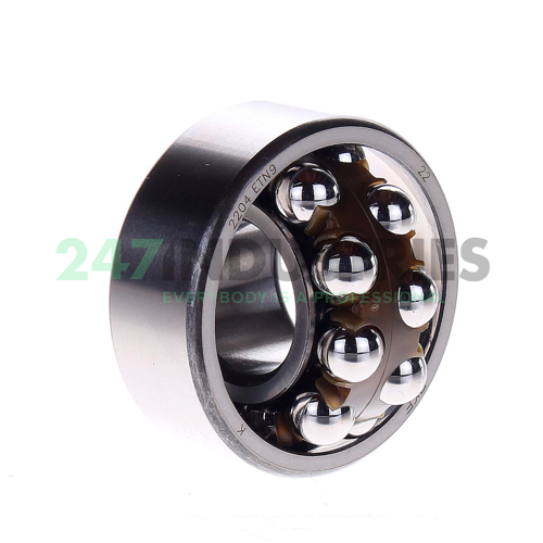 2204ETN9 SKF