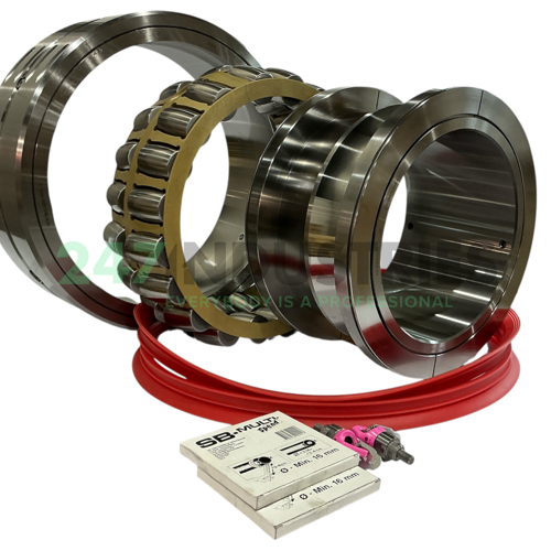 BX-231S1008(REM) SKF Image 2