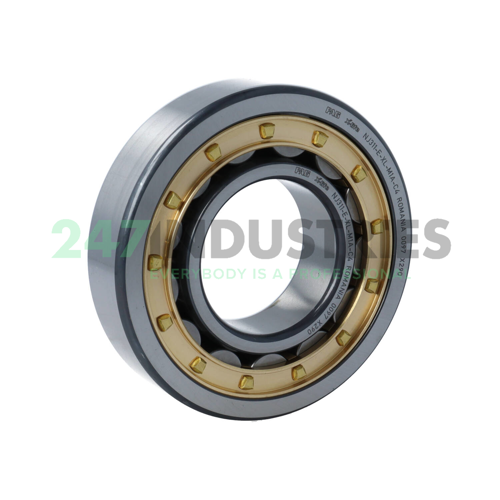 NJ311-E-XL-M1A-C4 FAG