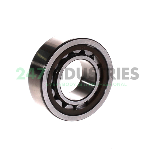 NJ2206ECP/C3 SKF Image 2